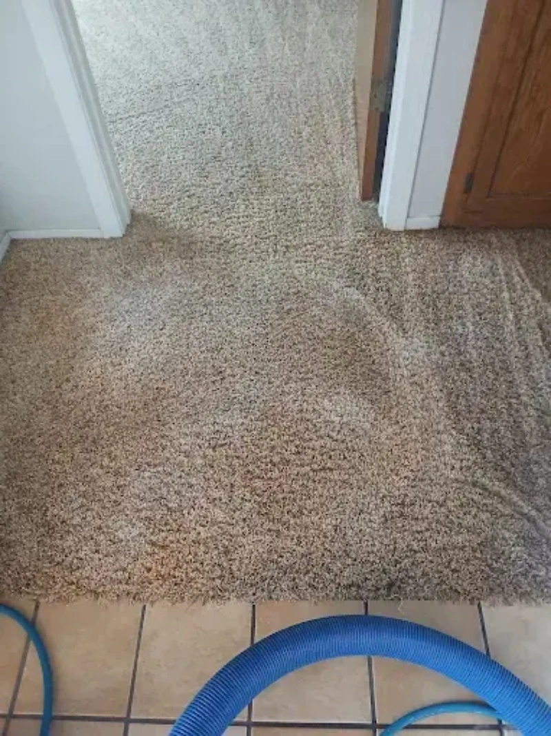 Synthetic area rug cleaning process in a Fresno home