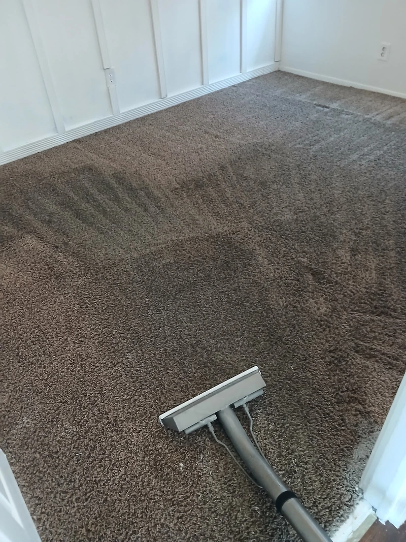 Technician using extraction equipment on residential carpet