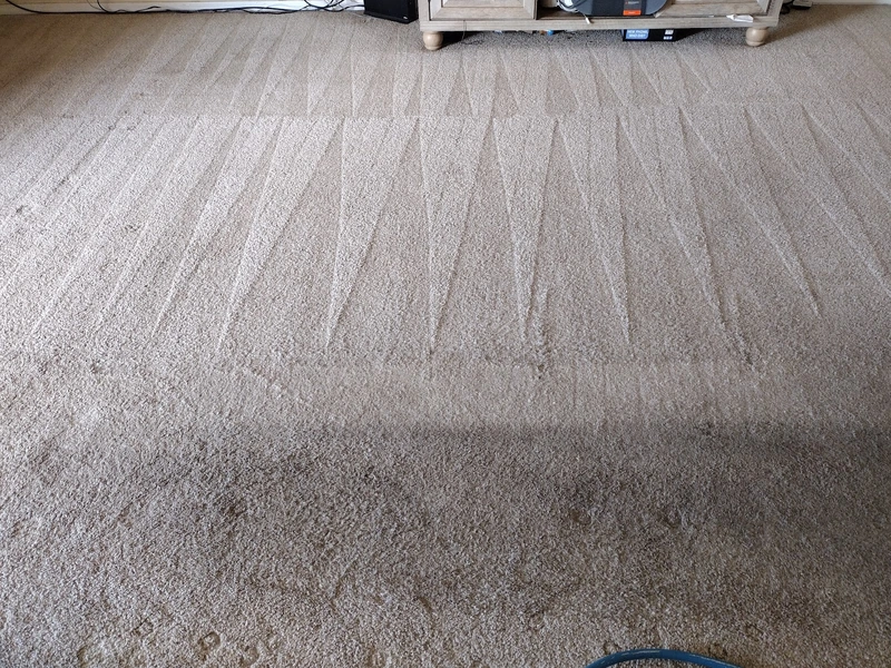 Freshly cleaned residential carpet with visible extraction lines