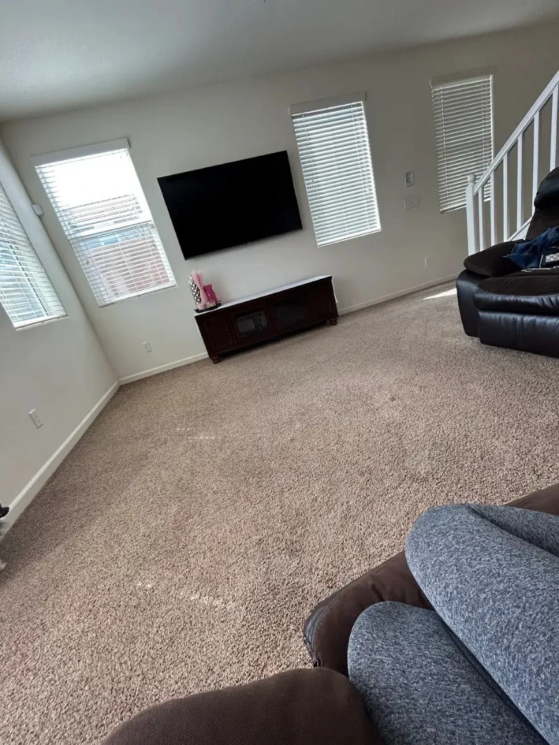 Wool area rug during a careful cleaning process